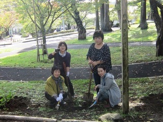 植樹と挿し木3