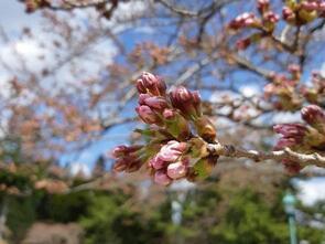 水源池公園2