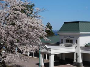 水源池公園満開1