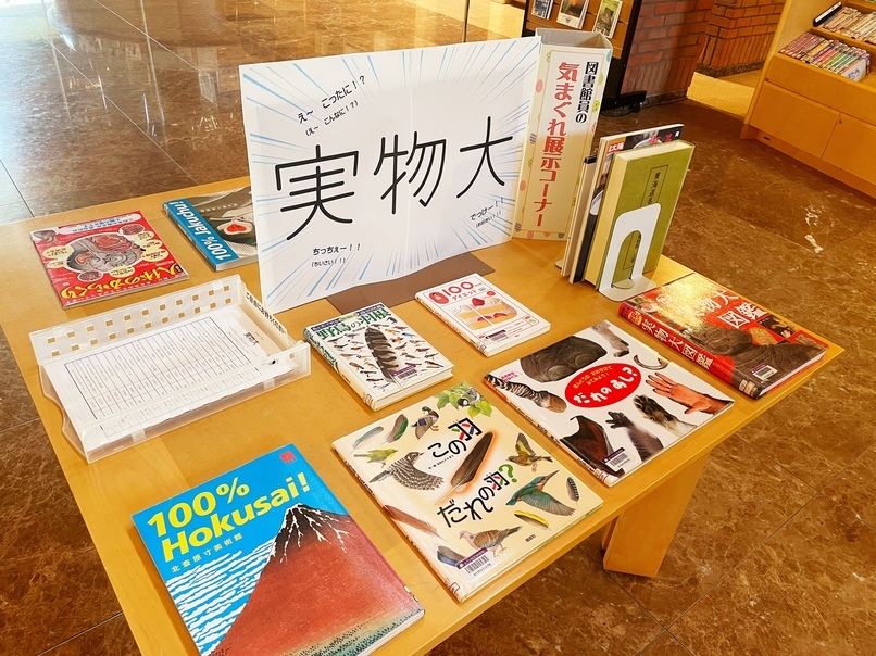 図書館員の気まぐれ展示7月テーマ「実物大」