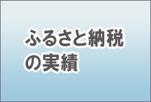 ふるさと納税の実績