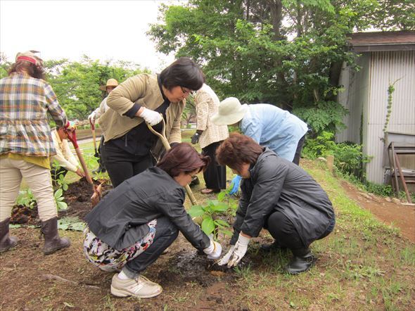 金谷公園　寄贈植樹「国際ソロプチミストむつ」