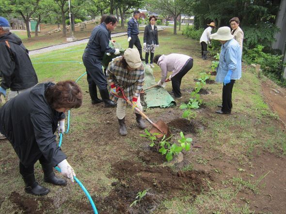 金谷公園　寄贈植樹「国際ソロプチミストむつ」