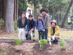 水源池公園にアジサイを植えました