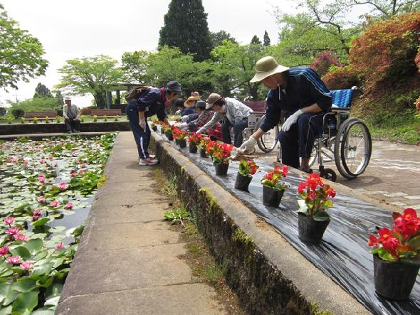 ボランティアによる花植え