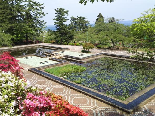 水源池公園のツツジ