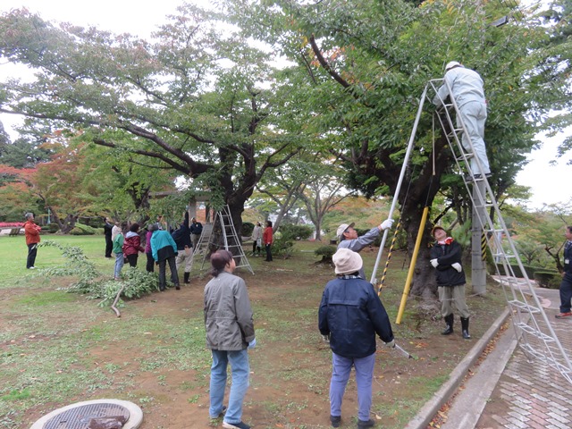 平成27年度講習会の様子